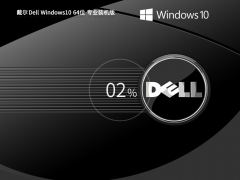 戴尔 Dell Windows10 64位 专业装机版 V2023-霏雪网络