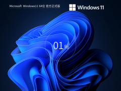 Windows11 22H2 22621.2428 X64 官方正式版 V2023-霏雪网络