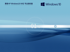 惠普 HP Windows10 64位 专业装机版 V2023-霏雪网络