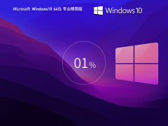 Windows10 22H2 64位 专业精简版 V2023-霏雪网络