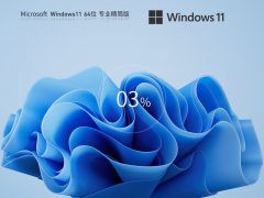 Windows11 22H2 64位 专业精简版 V2023-霏雪网络