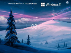 Windows11 22H2 64位 游戏美化版 V2023-霏雪网络